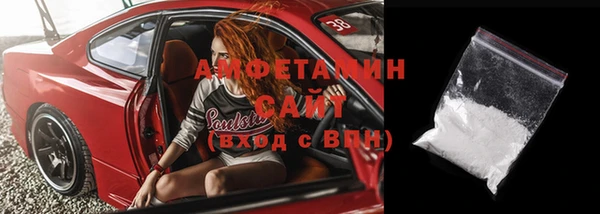 СК Алексин